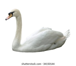 Swan, Isolated