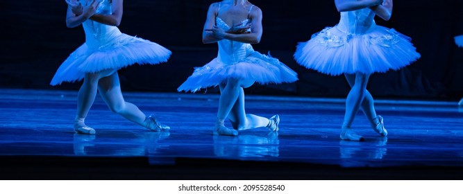 ballerinas varicoza)
