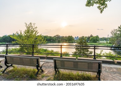 Swan Lake, Jean-Drapeau Park In Summer Evening. Saint Helens Island. Montreal, Quebec, Canada.