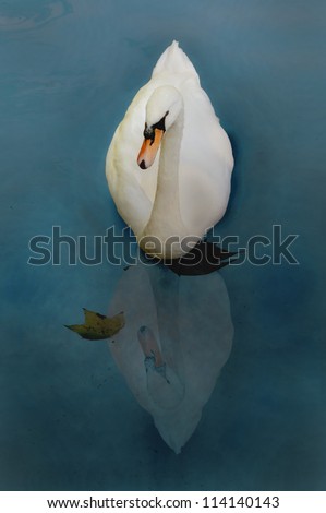 Similar – Image, Stock Photo Swan over!