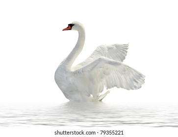 Swan on the white surface.