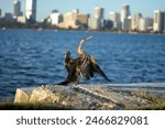 Swan River Australia taken from the shore using 50mm