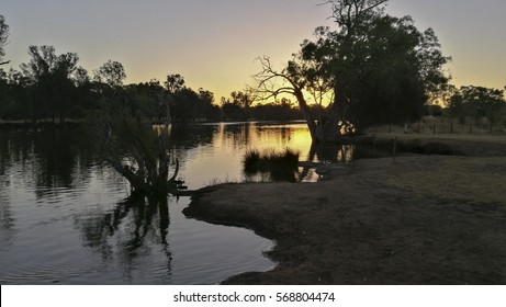 Swan Valley, Perth Vineyard, Western Australia During Summer.