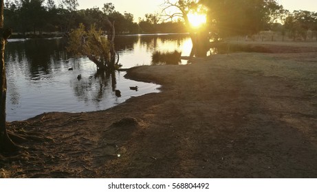 Swan Valley, Perth Vineyard, Western Australia During Summer.