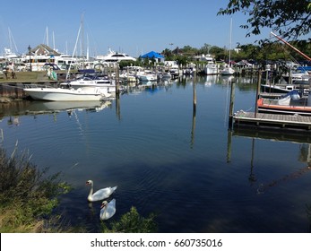 Swans And Boats On Sag Harbor Bay.