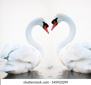 Swans Heart