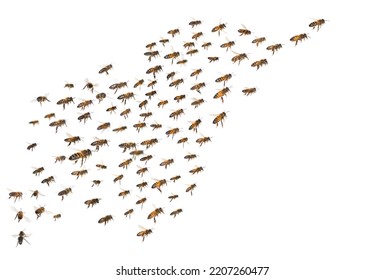 Swarm Of Bees In Flight Isolated On White Background