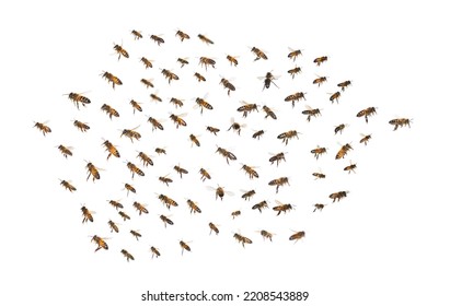 Swarm Of Bees In Flight Isolated On White Background