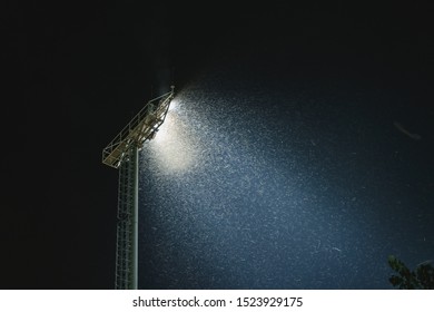 Swarm Of Bug Attracting And Flying Around Light From Stadium Floodlight At Night