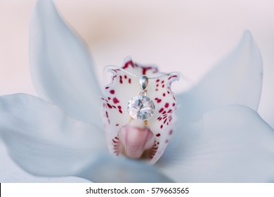 Swarovsky diamond necklace and earrings on an orchid flower