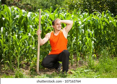 Sweating Working Young Farmer With A Hoe Near A Corn Field