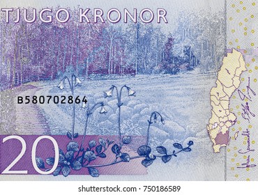 Sweden 20 krona (2015) banknote closeup, Swedish money close up.