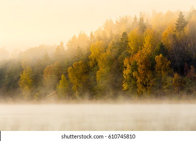 Swedish Autumnal Landscape With Mist