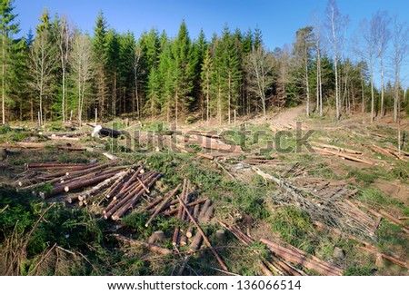 Similar – Foto Bild Valentinstag Wald Baum