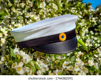  Swedish Graduation Cap , Close Up