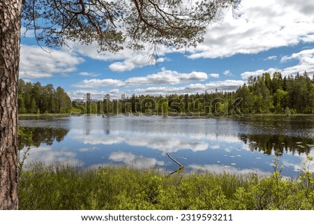 Swedish Nature: lake and serene forest. Nature's Reflection: serene lake and forest bliss in Sweden's sunlit splendour