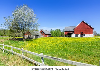 Swedish Spring Farm With Traditional Fence