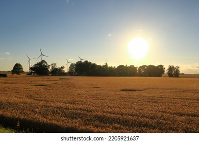 A Swedish Summer Field During Evening Time. Wind Power Turbines In The Background. Near Skara, Sweden, Scandinavia, Europe. August 2022.