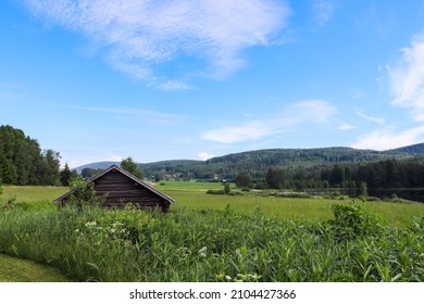 Swedish Summer Landscape In Countryside