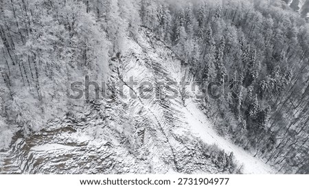 Sweeping aerial frames the folded cliff below heavy winter forest, highlighting erosion channels and snowy runouts. Evokes rugged terrain, remote exploration, and the power of natural processes in cold conditions.