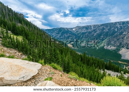Sweeping Alpine View of the Beartooth Mountains, Montana - dense pine forests, rugged cliffs and a dramatic valley under a summer sky. Captured on Beartooth Highway near Absaroka-Beartooth Wilderness