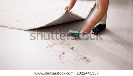 Sweeping Dirt Under Carpet. Hiding Dust While Cleaning