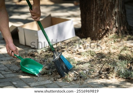 Sweeping fallen pine needles in the backyard