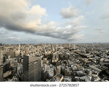 A sweeping panoramic view showcases an expansive Tokyo cityscape beneath a heavy overcast sky in Japan. Dense concentrations of high-rise buildings stretch across the metropolitan area, creating a complex skyline. Dark storm clouds gather above, adding a moody and dramatic atmosphere to the scene. Residential developments intermingle with commercial towers in this sprawling settlement. The grey weather conditions diffuse natural light, resulting in soft shadows. In the foreground, electrical transmission infrastructure is visible. Power lines cut across the horizon, connecting various districts. This scenery depicts a typical Japanese megacity environment during late afternoon hours. The vastness of the town emphasizes population density and urban growth. Distant mountains are barely visible through the thick haze. Modern architecture defines the visual character of this region. The somber tone suggests an approaching typhoon or rainstorm. It captures the quiet energy of a bustling metropolis before evening falls. Such landscapes highlight the scale of human habitation. The image evokes feelings of awe regarding city planning. Every rooftop and street contributes to the intricate texture of this view.