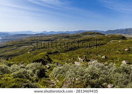A sweeping view across the rolling mountain plateau of Etnefjellet in Etne, Vestland, Norway. Heather-covered hills, exposed granite outcrops, and alpine shrubs stretch toward distant mountain ranges beneath a clear summer sky, showcasing the tranquil wilderness of Western Norway