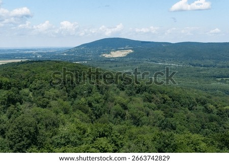 A sweeping view of lush green forests, distant hills, and a river winding through a valley under a partly cloudy summer sky in the austrian landscape, environmental conservation, and tourism boards.