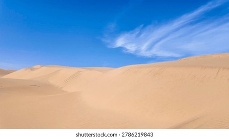 A sweeping view of massive, undulating sand dunes stretching towards the horizon under a clear, bright blue sky with wispy clouds
