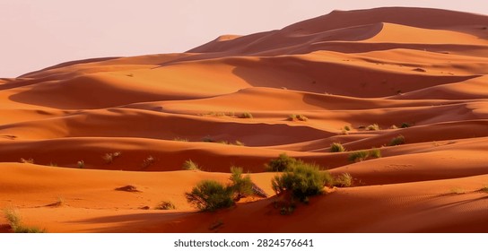 Sweeping waves of deep orange and red sand dunes stretch across the Sahara Desert, their sculpted ridges casting dramatic shadows across the undulating landscape. Scattered clumps of resilient desert scrub vegetation dot the lower dune valleys, adding flashes of green against the vivid warm tones. A pale hazy sky crowns the scene, enhancing the vast, timeless atmosphere of one of Earth's most iconic desert environments.