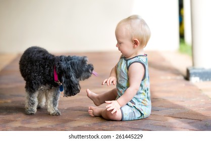 Sweet Baby Boy Sitting With His Pet Dog Who Is About To Lick Him