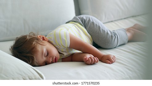 3,951 Kid Sleeping Couch Images, Stock Photos & Vectors | Shutterstock