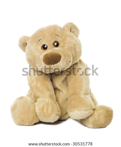Sweet bear isolated on white background