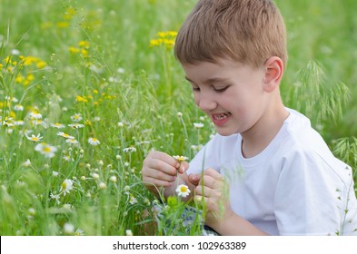 Sweet beautiful boy sitting on a green meadow with daisy