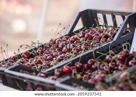 Sweet cherries, fresh and red, for sale on a market in Belgrade, Serbia piled on a stall in a pijaca. These are among the most traditional fruits of Europe in Summer, or called prunus avium or cherry