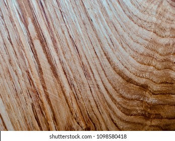 Sweet Chestnut Tree Wood Grain Closeup 