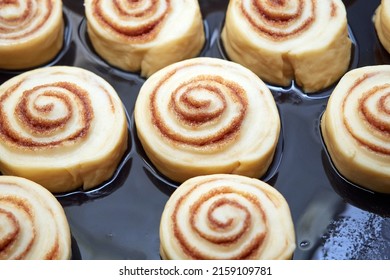 Sweet Cinnamon Rolls Ready To Bake In The Oven