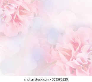 sweet color hydrangea flower with soft style - Shutterstock ID 353596220