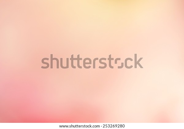 sweet color rose and hydrangeas in soft color\
and blur style for\
background