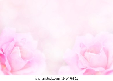 Sweet Color Roses Soft Blur Style Stock Photo 246498931 | Shutterstock