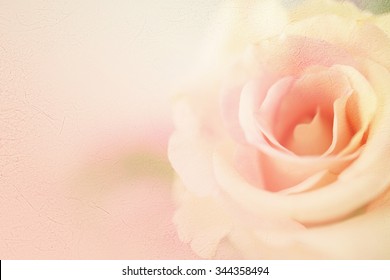 Peach Flower Background Images Stock Photos Vectors Shutterstock