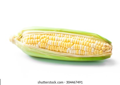 Sweet Corn, Bi-color