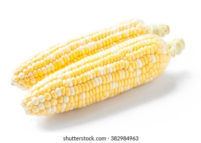 Sweet Corn, Bi-color