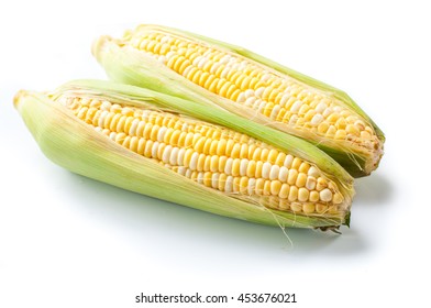 sweet corn, bi-color