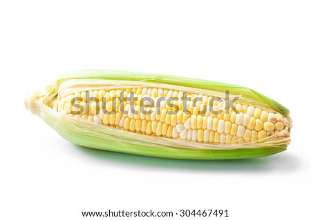 sweet corn, bi-color