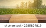 Sweet corn field and wooden table at Agriculture corn. 3D illustration, of free space for your texts and branding.