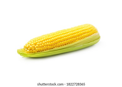 Sweet Corn  Isolated On White Background