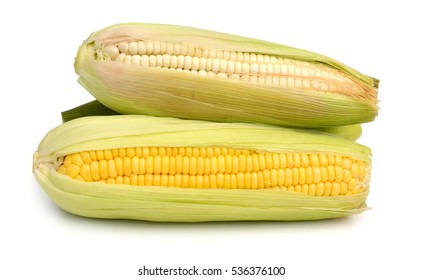 Sweet Corn Isolated On White Background